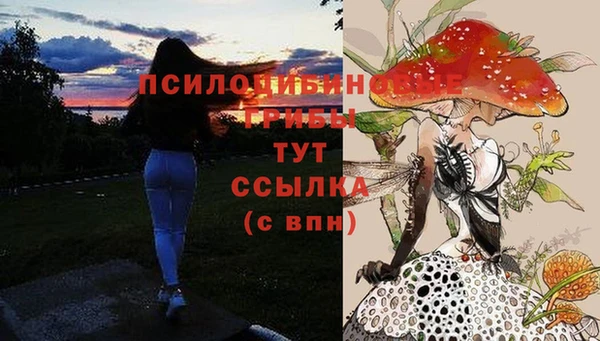 ALPHA PVP Балахна