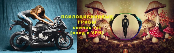 ALPHA PVP Балахна