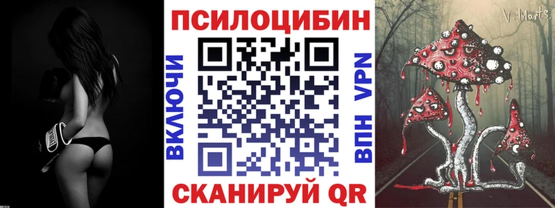 Купить  Нарткала  Псилоцибиновые грибы мицелий 