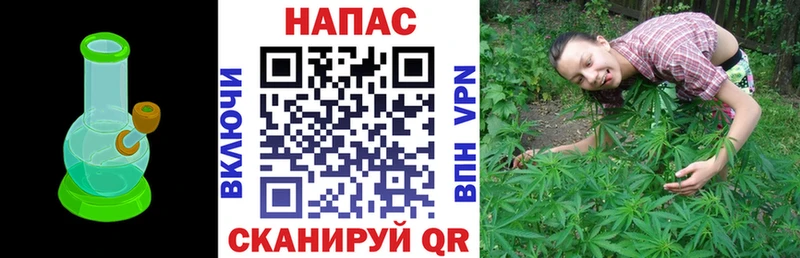 Купить где  Нарткала  МАРИХУАНА White Widow 